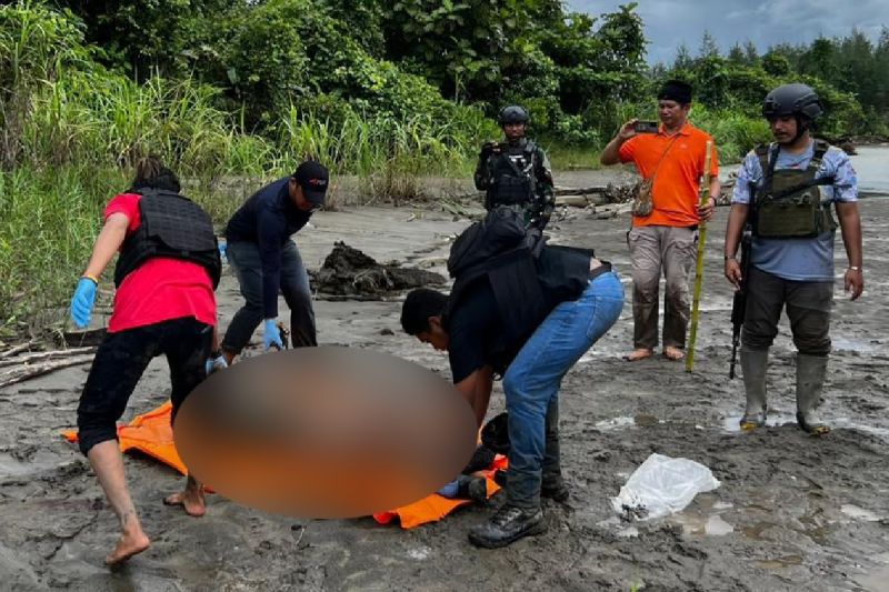 Anggota TNI/Polri mengevakuasi lima jenazah diduga anggota KKB yang tewas dalam saat kontak tembak, Kamis (14/9). (gemapos/antara)
